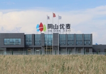 權威！陰山優(yōu)麥被認證為“中國有機燕麥第 一品牌”